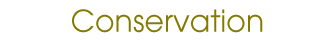 Conservation